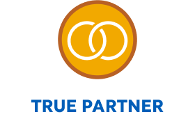 Chainlink icon, true partner